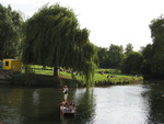 The Cam