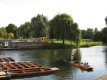 The Cam, again