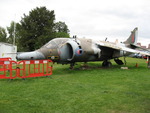 Harrier