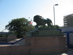 Lions on Palace Embankment